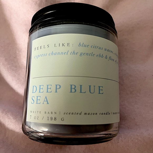 Bath and Body Works Deep Blue Sea 1 Wick Candle - Picture 1 of 2